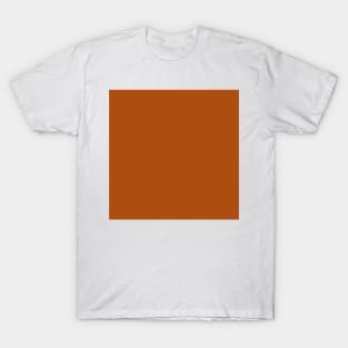 Solid Rust T-Shirt